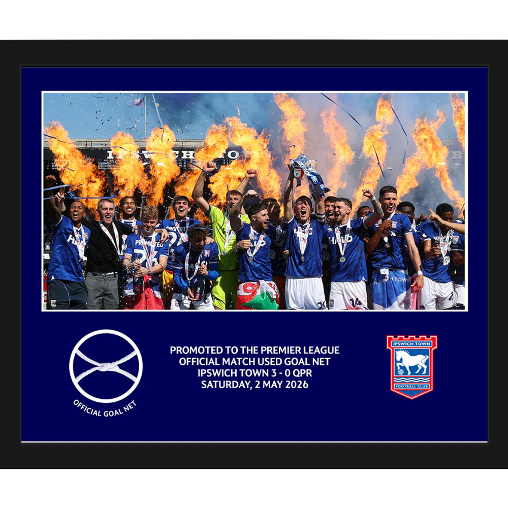 Mini Goal Net Framed 2026